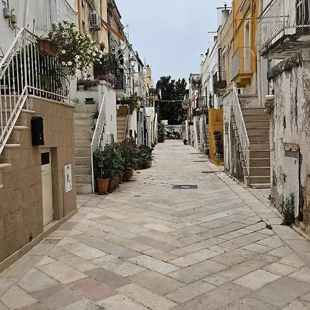 Historic House Renovated - Design - Patio Apartment